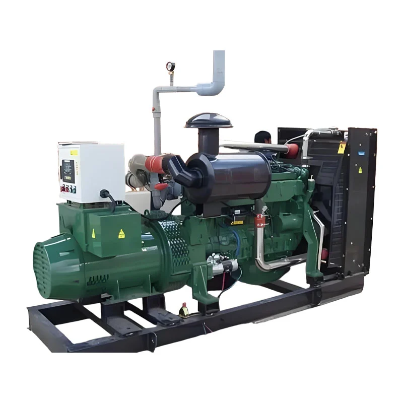 Generator de biogaz monocombustibil 100kw Generator de biogaz monocombustibil 100kw